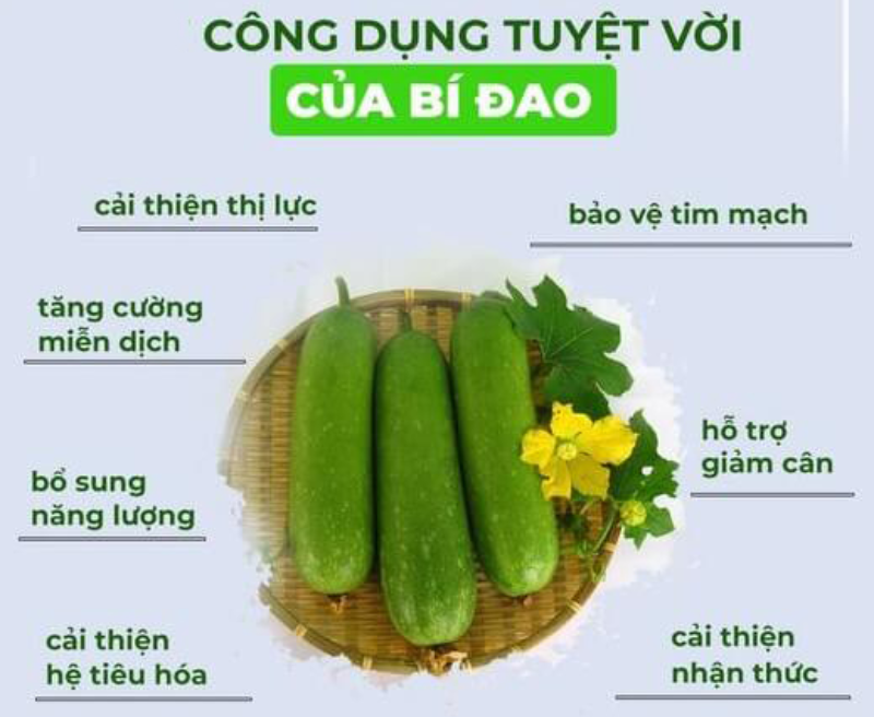 Một số lợi ích của bí đao đối với sức khỏe