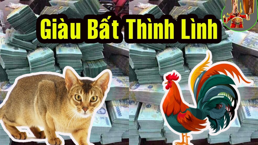 giau-bat-thinh-linh