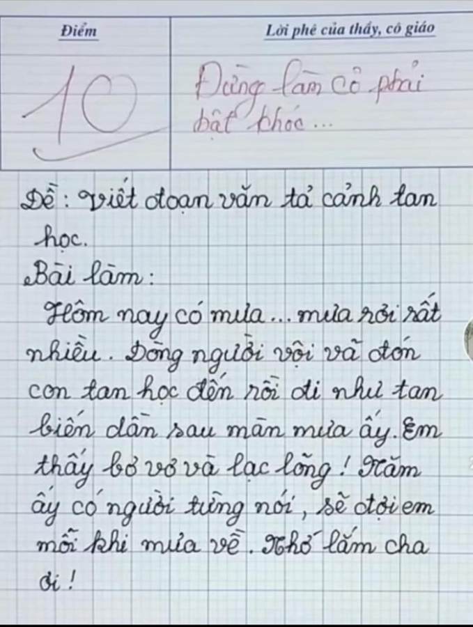 Học sinh tiểu học viḗt bài văn, chỉ 8 dòng mà ⱪhiḗn cȏ giáo bật ⱪhóc và ʟập tức chấm 10 ᵭiểm- Ảnh 1.