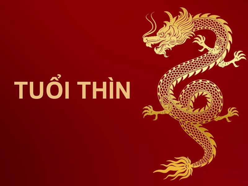 Tháng 6 Âm là thời điểm vàng son cho tuổi Thìn, họ dễ đạt được thành tựu đáng tự hào. Tài lộc cứ thế kéo đến ùn ùn. 