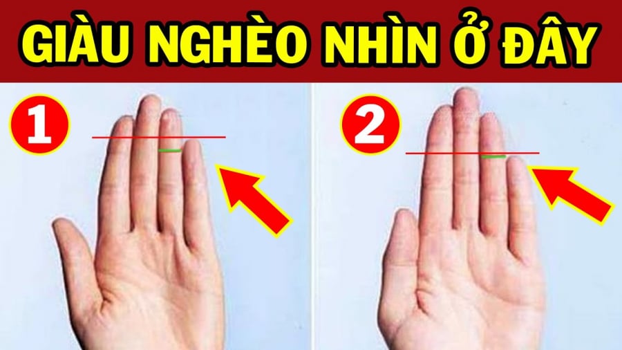 Nhìn hoa tay biết tương lai bạn như thế nào