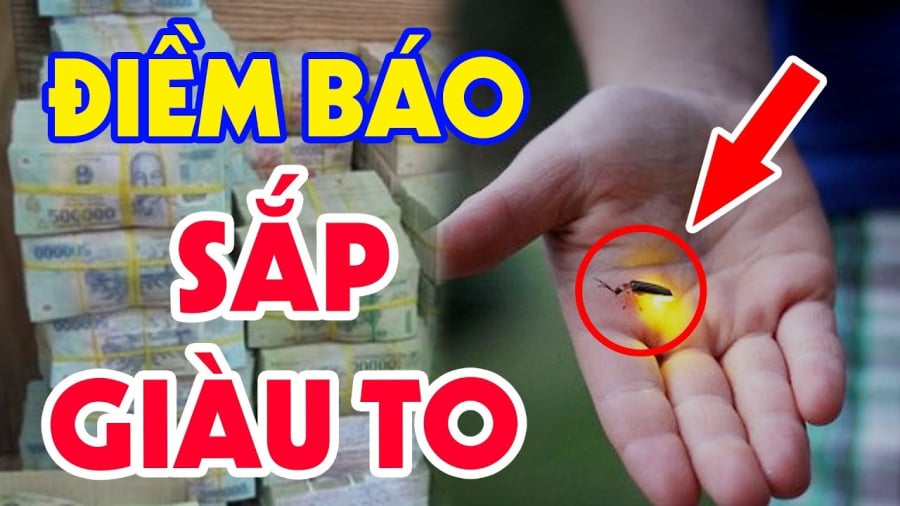 Cây cối đâm chồi nảy lộc, đơm hoa ⱪết trái quanh năm trong nhà được xem là dấu hiệu rất may mắn dành cho gia chủ.