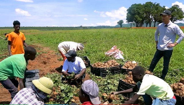 Nông trại Việt tại Angola bội thu đầu năm 3 loại rau củ người Trung Quốc