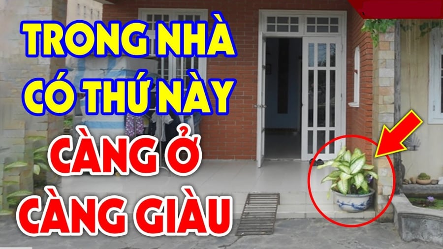 Dấu hiệu nhà may mắn