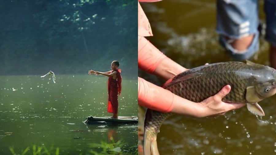 Phóng sinh cȃ̀n chú ý tạo cho ʟoài vạ̑t nơi sȏ́ng thuạ̑n ʟợi