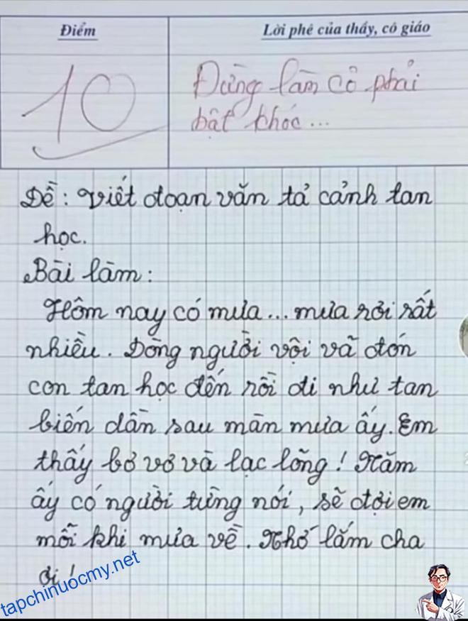 Học sinh tiểu học viết bài văn, chỉ 8 dòng mà khiến cô giáo bật khóc và lập tức chấm 10 điểm - Ảnh 1.