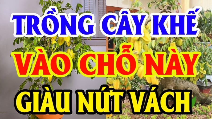 Vị trí trṑng ⱪhḗ hút tài ʟộc