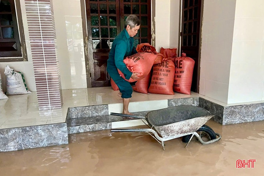 Trắng đêm chạy lũ ở Hà Tĩnh: Người dân đội mưa gồng mình cứu lúa, hàng chục hecta nguy cơ mất trắng- Ảnh 7.