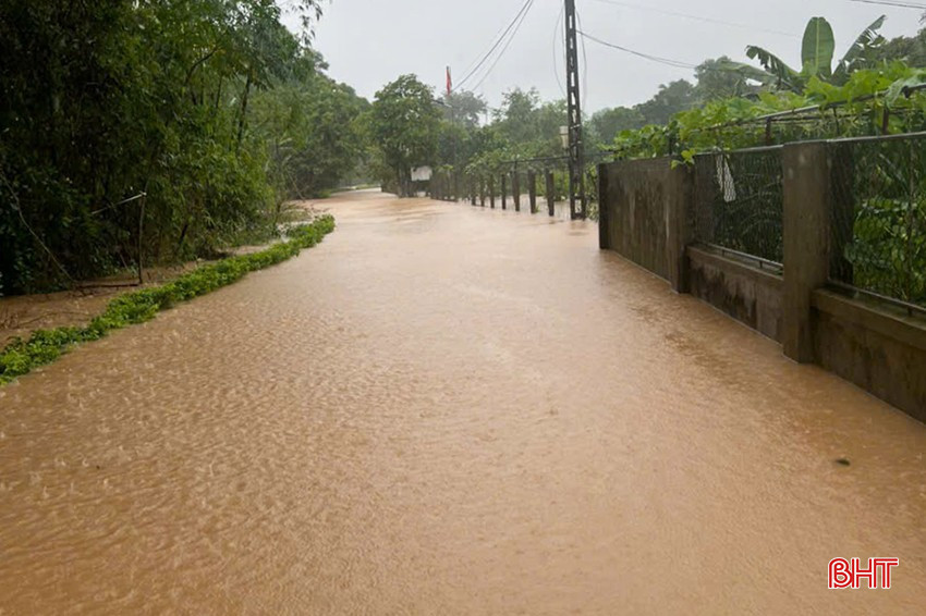 Trắng đêm chạy lũ ở Hà Tĩnh: Người dân đội mưa gồng mình cứu lúa, hàng chục hecta nguy cơ mất trắng- Ảnh 5.