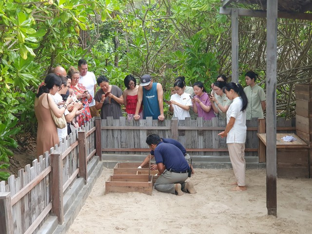 Cảnh đặc biệt ở bãi biển Côn Đảo: Du khách tham gia nhận xét "Trải nghiệm ý nghĩa chưa từng có trong đời"- Ảnh 6.