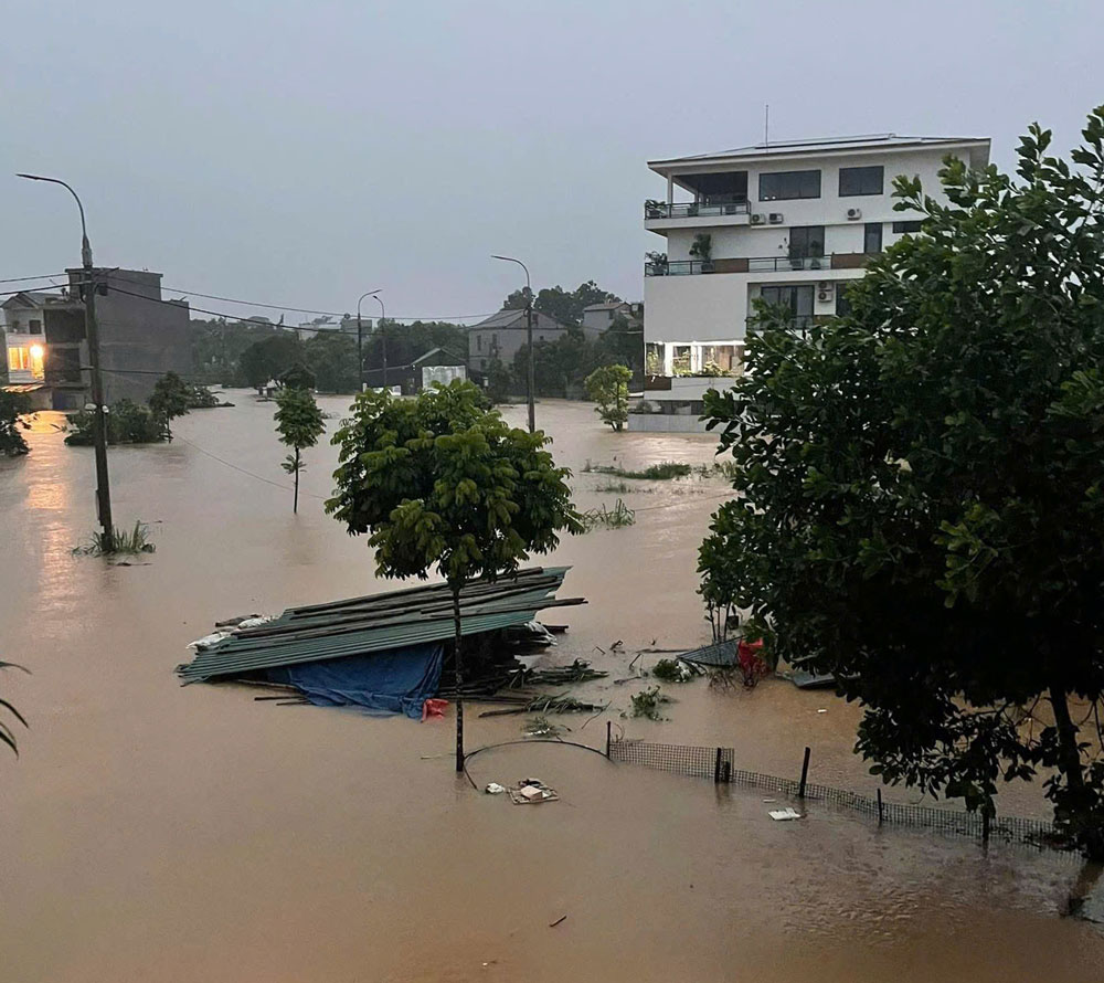 Khu vực gần đường đê Nông Lâm.