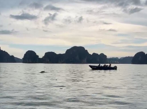 Tìm thấy thi thể nạn nhân vụ lật tàu vịnh Xanh 58 ở Hạ Long - Ảnh 1.