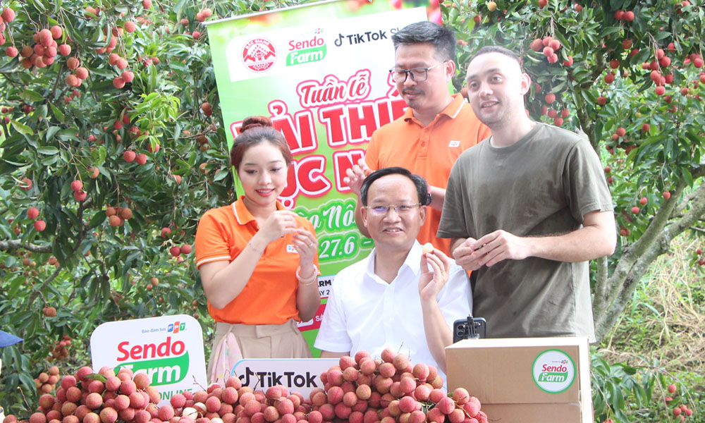Lần đầu tiên Phó chủ tịch Bắc Ninh livestream "chốt đơn" 54 tấn vải chỉ trong buổi sáng - Ảnh 1.