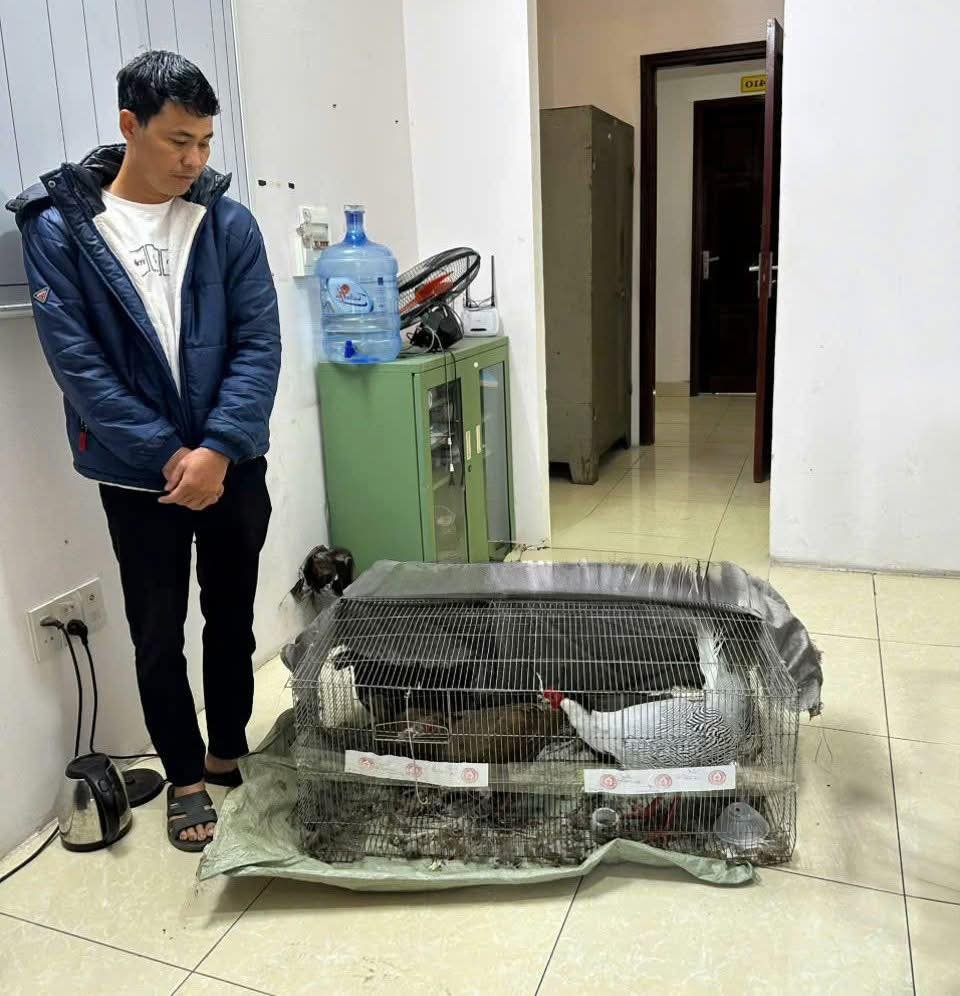 Anh Thái Khắc Thành bên cạnh những con gà lôi anh đã nuôi, nhân giống. Ảnh: Ngọc Anh