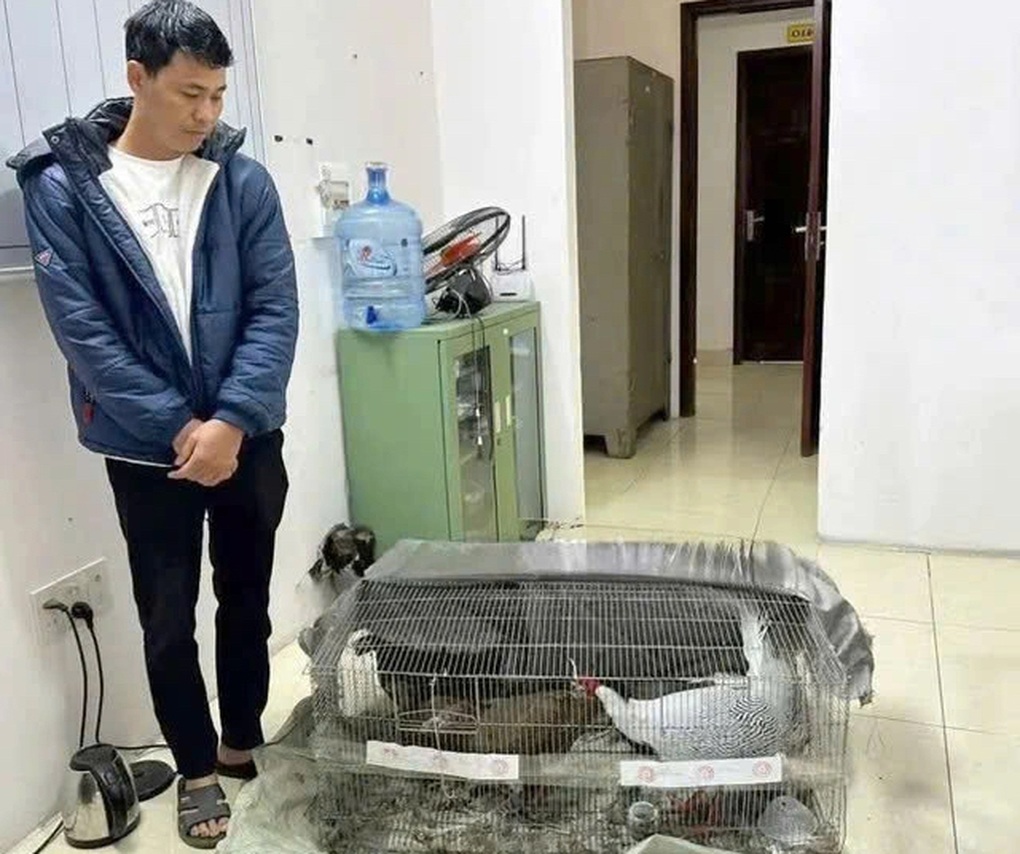 Vụ án “Gà lôi trắng”: Bị cáo được tại ngoại, cấm đi khỏi nơi cư trú - 2