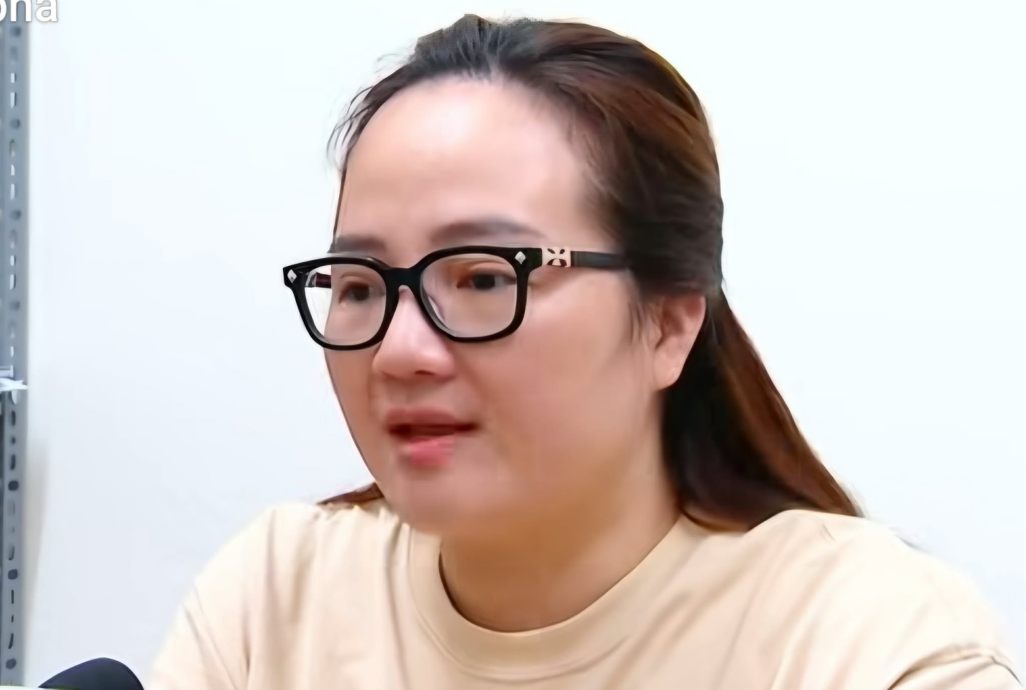 Khởi tố nữ doanh nhân Hoàng Hường - 1