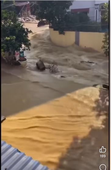 Không có mô tả ảnh.
