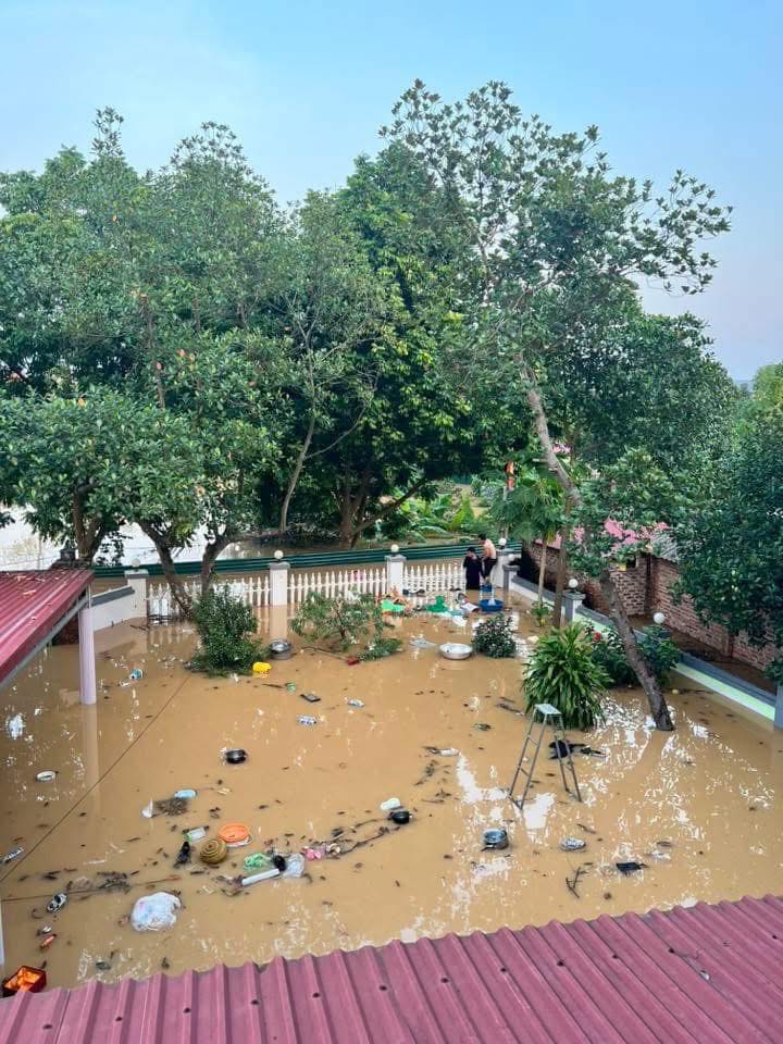 Có thể là hình ảnh về cây và thủy vực