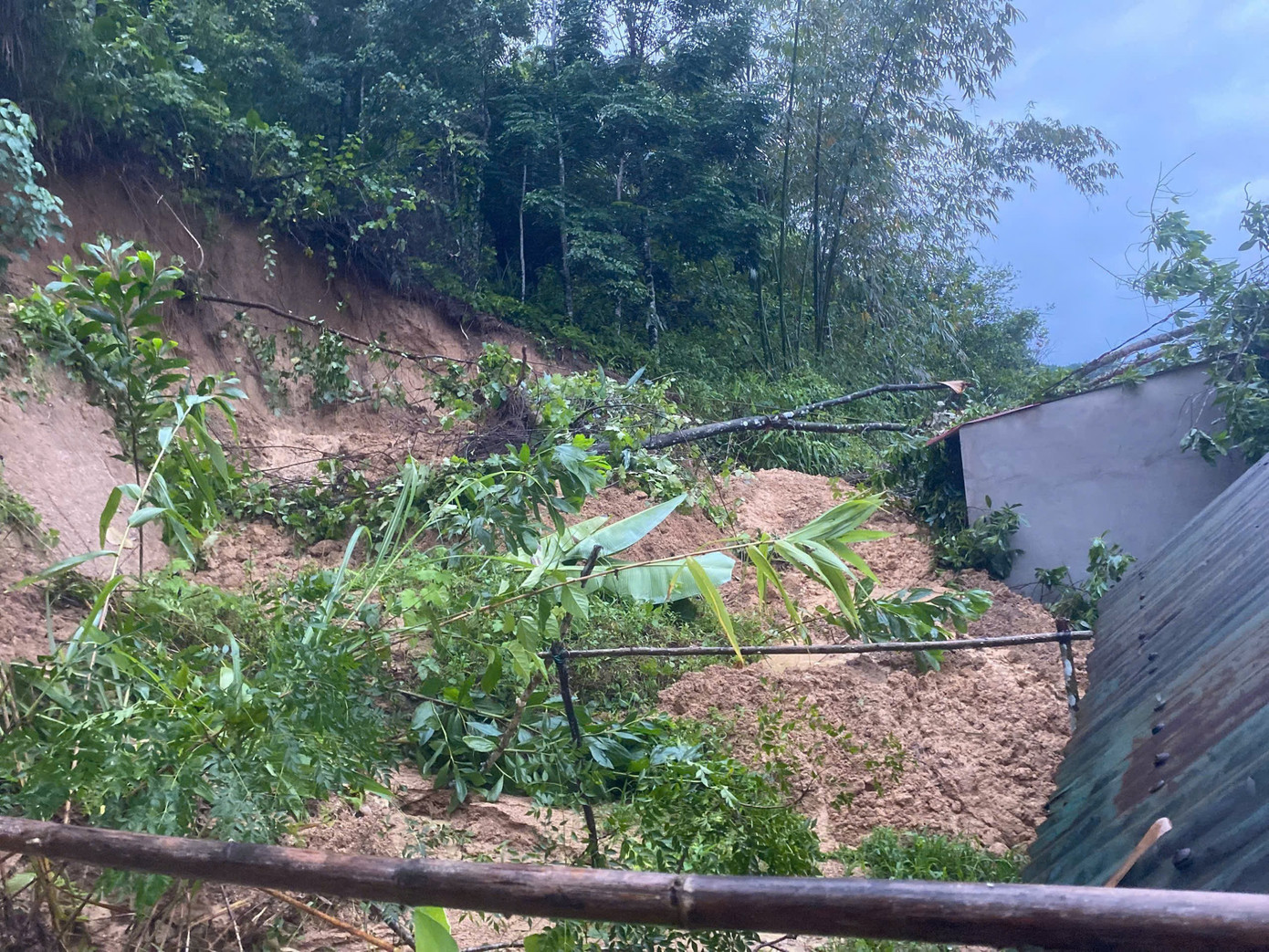 Nước lũ nhấn chìm hơn 66.800 nhà dân ở Đà Nẵng, mưa lớn chưa có dấu hiệu giảm- Ảnh 4.