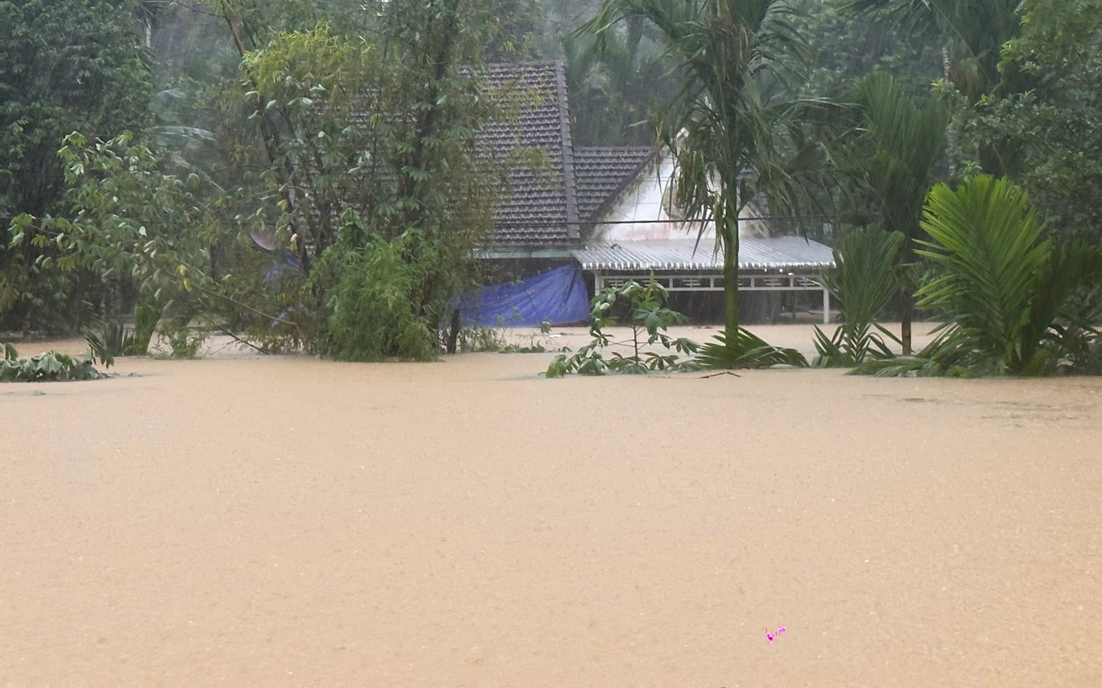 Toàn cảnh Hội An và Đà Nẵng những ngày chìm trong biển nước- Ảnh 12.
