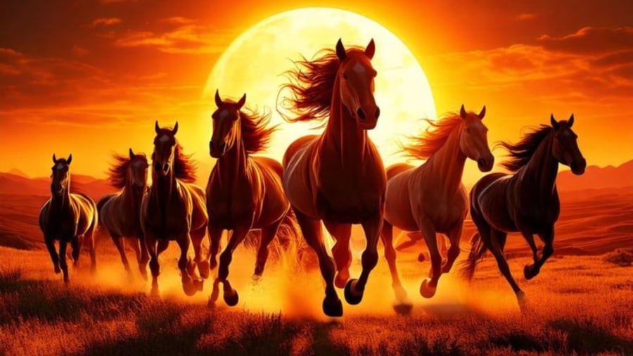 Tuổi Ngọ – Vận đỏ tới tấp, danh và lợi song hành 