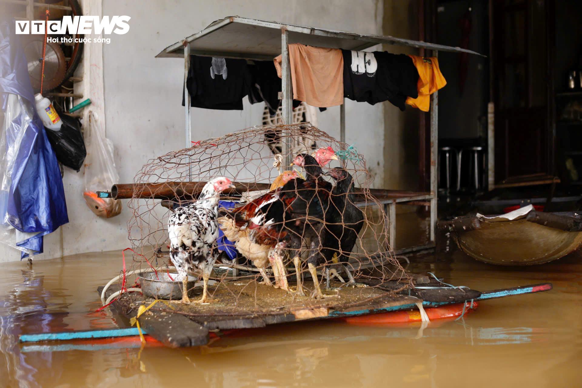 Nước sông dâng vượt xa báo động 3, TP Huế tiếp tục chìm trong biển nước- Ảnh 3.