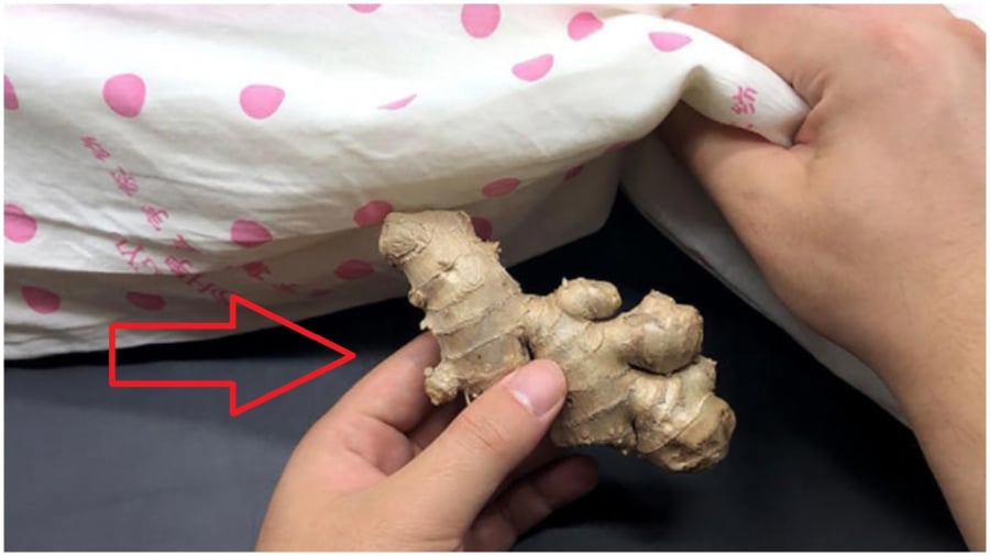 Đặt nhánh gừng tươi dưới gṓi mẹo hay 