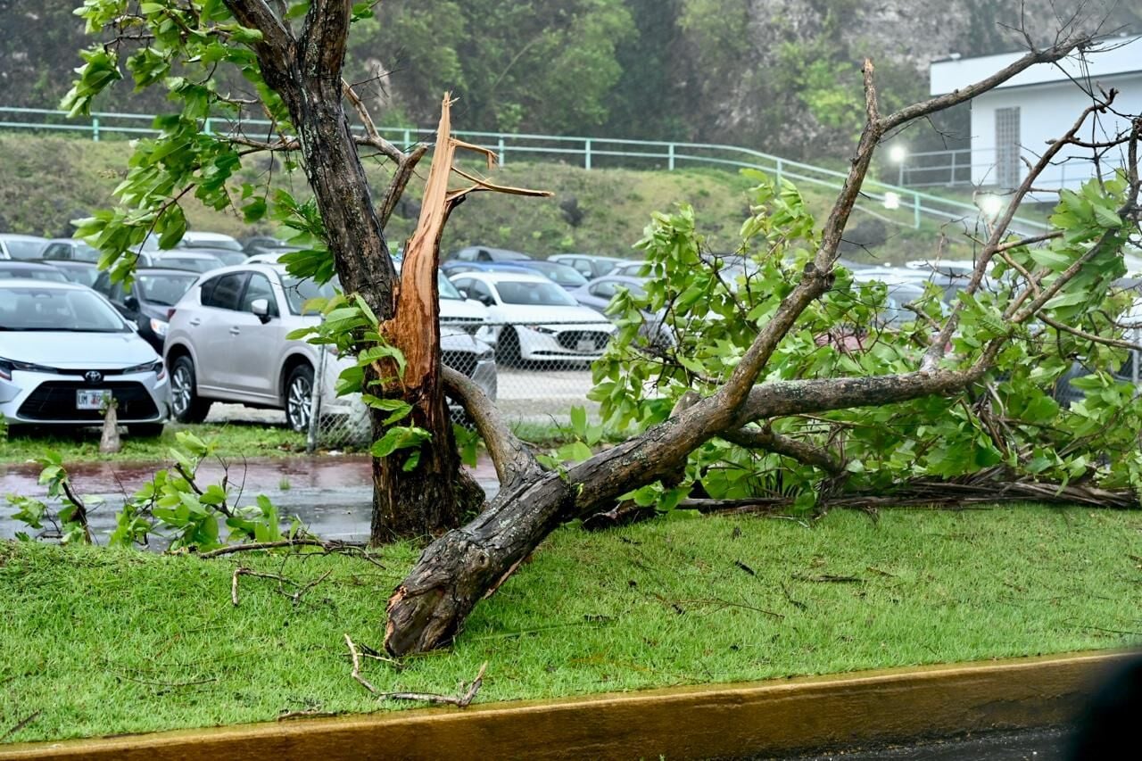 Siêu bão mạnh nhất hành tinh Sinlaku áp sát: Người dân "nín thở" trước giờ G, mưa to gió lớn đã xuất hiện - áº¢nh 3.