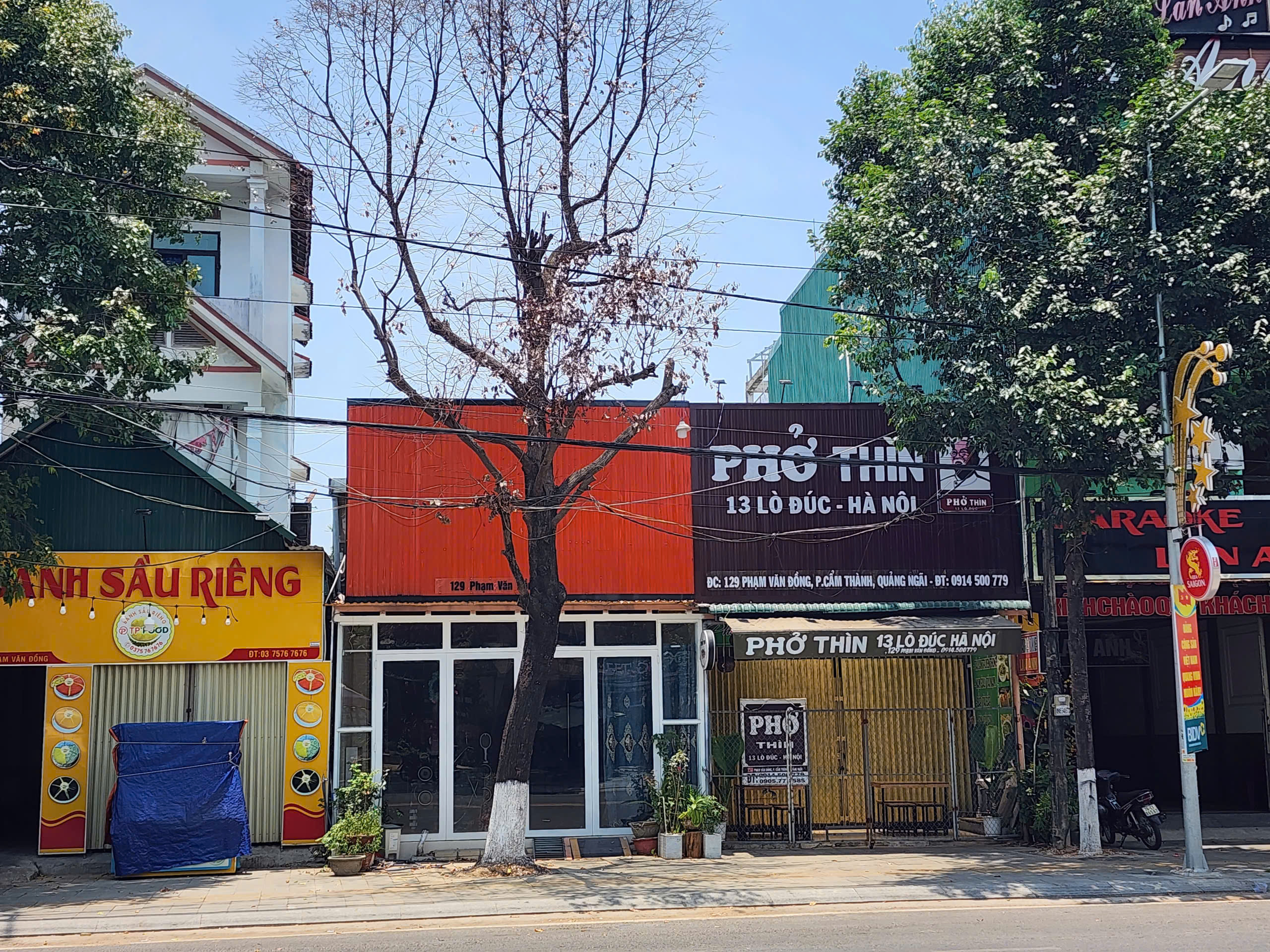 Cây xanh chết khô với nhiều vết khoan dưới gốc ở đô thị Quảng Ngãi
