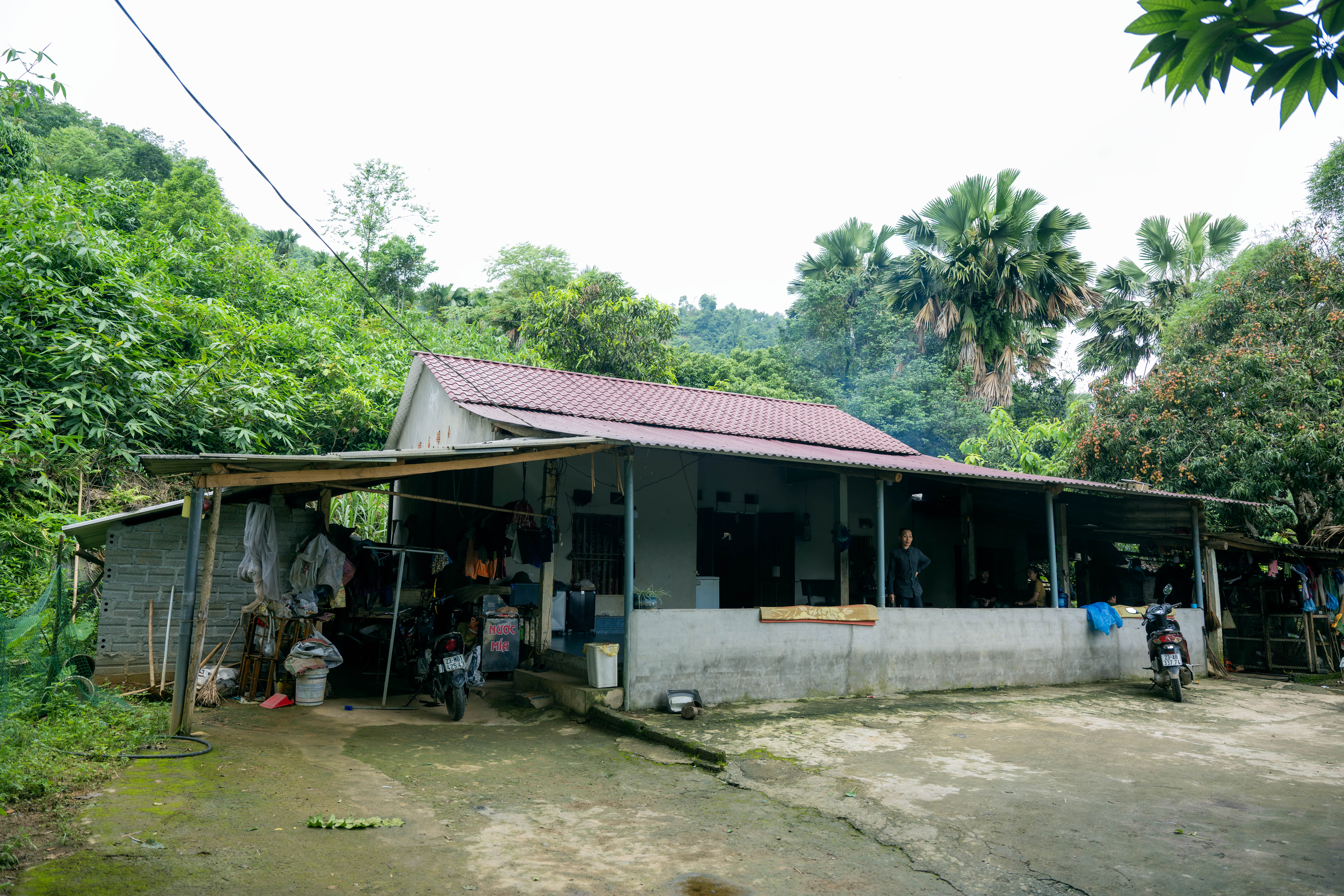 dsc5917 copy 2