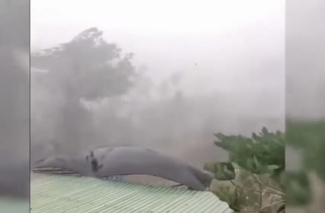 Video: Giông lốc dữ dội làm tốc mái nhà dân, giao thông tê liệt vì cây đổ