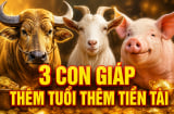 Tích phúc đức về già: 3 con giáp thêm tuổi thêm Tiền Tài