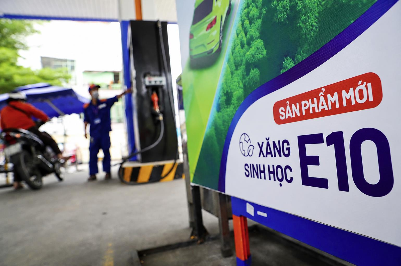 Chỉ đạo mới nhất của Chính phủ về xăng E10 - Ảnh 1.