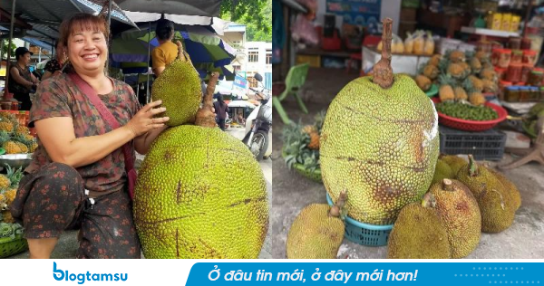 Quả mít nặng 53kg ở Lạng Sơn, chủ sạp hoa quả mua lại với giá 500k, lúc bổ ra thì bên trong SỮNG SỜ