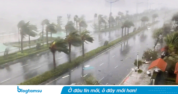 Đêm nay đến sáng mai, Biển Đông đón bão số 1, hướng vào vịnh Bắc Bộ